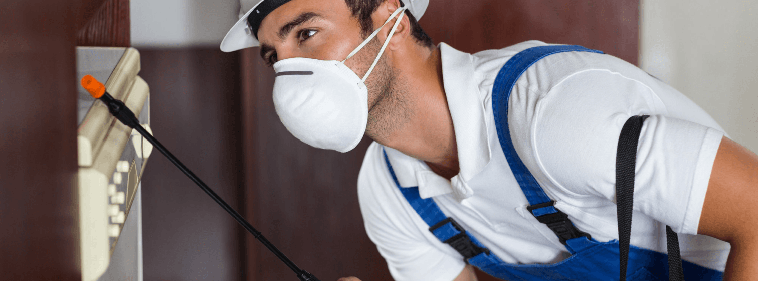 Pest Control Perth